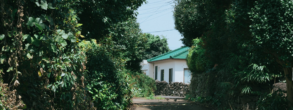 신흥2리 동백마을