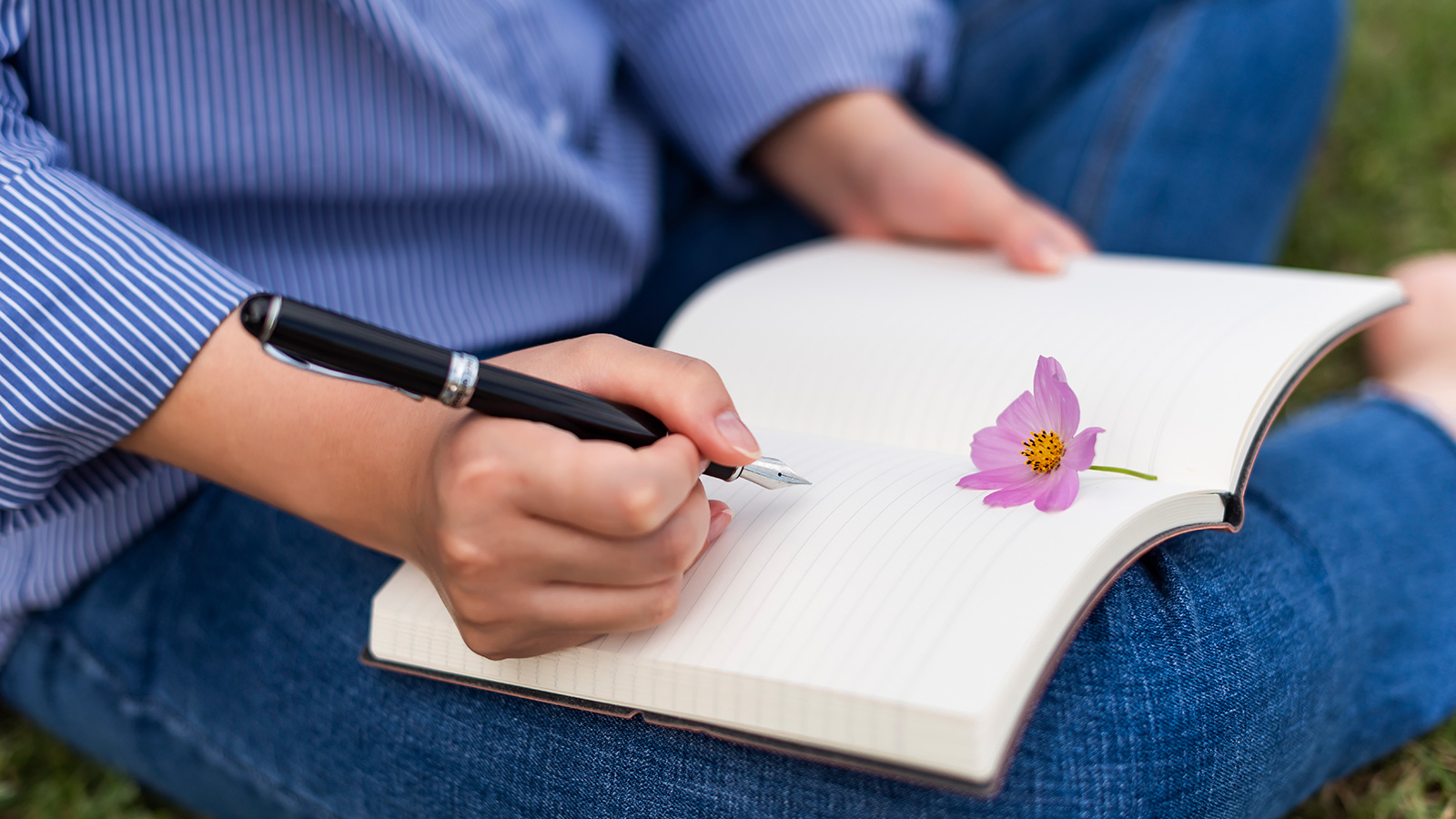 스페셜체험프로그램